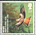 Red Kite Milvus milvus  2007 Endangered birds 
