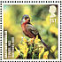 Dartford Warbler Curruca undata  2007 Endangered birds 