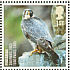 Peregrine Falcon Falco peregrinus  2007 Endangered birds 