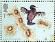 Flightless Cormorant Nannopterum harrisi  2009 Charles Darwin Prestige booklet
