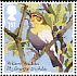 Willow Warbler Phylloscopus trochilus  2017 Songbirds 