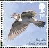 Eurasian Skylark Alauda arvensis  2017 Songbirds 