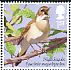 Common Nightingale Luscinia megarhynchos  2017 Songbirds 