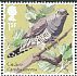 Common Cuckoo Cuculus canorus  2017 Songbirds 
