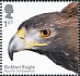 Golden Eagle Aquila chrysaetos  2019 Birds of prey 
