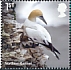 Northern Gannet Morus bassanus  2021 Wild coasts 10v set