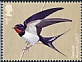 Barn Swallow Hirundo rustica  2022 Migratory birds 