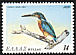 Common Kingfisher Alcedo atthis  1979 Endangered birds 