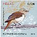 Common Nightingale Luscinia megarhynchos  2014 Songbirds Booklet, sa