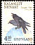 Northern Raven Corvus corax  1988 Birds 