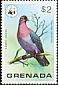 Scaly-naped Pigeon Patagioenas squamosa  1978 WWF 