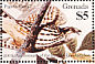 Merlin Falco columbarius  1985 Audubon  MS