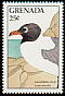 Laughing Gull Leucophaeus atricilla  1988 Birds 