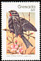 Lesser Antillean Bullfinch Loxigilla noctis  1989 Birds p 14