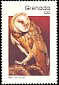 American Barn Owl Tyto furcata  1990 Birds 