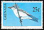 Grey Kingbird Tyrannus dominicensis  1990 Birds 
