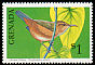 House Wren Troglodytes aedon  1990 Birds 