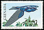 Caribbean Martin Progne dominicensis  1990 Birds 