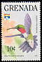 Ruby-throated Hummingbird Archilochus colubris