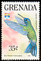 Blue-headed Hummingbird Riccordia bicolor  1992 Genova 92 
