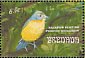 Orange-breasted Bunting Passerina leclancherii  1993 Songbirds Sheet