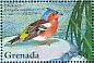 Common Chaffinch Fringilla coelebs  1995 Birds  MS