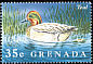Eurasian Teal Anas crecca  1995 Water birds of the world 
