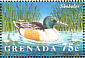 Northern Shoveler Spatula clypeata  1995 Water birds of the world Sheet