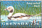 Long-tailed Duck Clangula hyemalis  1995 Water birds of the world Sheet