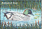 Falcated Duck Mareca falcata  1995 Water birds of the world Sheet