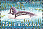Barrow's Goldeneye Bucephala islandica  1995 Water birds of the world Sheet