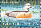 Steller's Eider Polysticta stelleri  1995 Water birds of the world Sheet