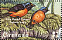 Antillean Euphonia Chlorophonia musica  2000 Birds Sheet
