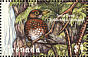 Forest Thrush Turdus lherminieri  2000 Birds Sheet