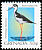 Black-necked Stilt Himantopus mexicanus  2000 Bird definitives 