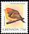 Yellow-breasted Warbler Phylloscopus montis  2000 Bird definitives 