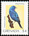 Indigo Bunting Passerina cyanea  2000 Bird definitives 