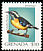 Bananaquit Coereba flaveola  2000 Bird definitives 
