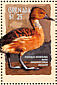 Fulvous Whistling Duck Dendrocygna bicolor  2001 Hong Kong 2001, ducks Sheet