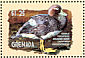 Flying Steamer Duck Tachyeres patachonicus  2001 Hong Kong 2001, ducks Sheet