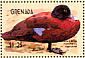 Hartlaub's Duck Pteronetta hartlaubii  2001 Hong Kong 2001, ducks Sheet