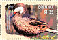 White-cheeked Pintail Anas bahamensis  2001 Hong Kong 2001, ducks Sheet