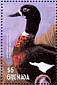Australian Shelduck Tadorna tadornoides  2001 Hong Kong 2001, ducks  MS MS