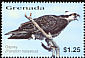 Western Osprey Pandion haliaetus  2003 Birds of the Caribbean 