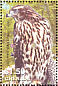 Cooper's Hawk Accipiter cooperii  2005 Birds of prey Sheet