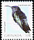 Purple-throated Carib Eulampis jugularis  2005 Birds 