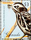 Black-and-white Warbler Mniotilta varia  2009 Birds of the Caribbean Sheet
