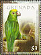 Yellow-crowned Amazon Amazona ochrocephala  2009 Birds of the Caribbean Sheet