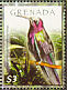 Jamaican Mango Anthracothorax mango  2009 Birds of the Caribbean Sheet