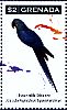 Hyacinth Macaw Anodorhynchus hyacinthinus